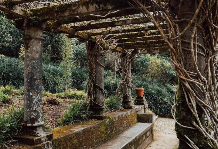 Bewachsene Stein-Pergola